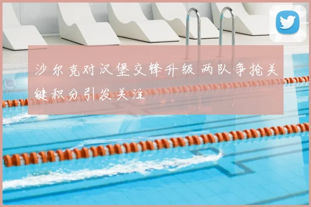 沙尔克对汉堡交锋升级 两队争抢关键积分引发关注