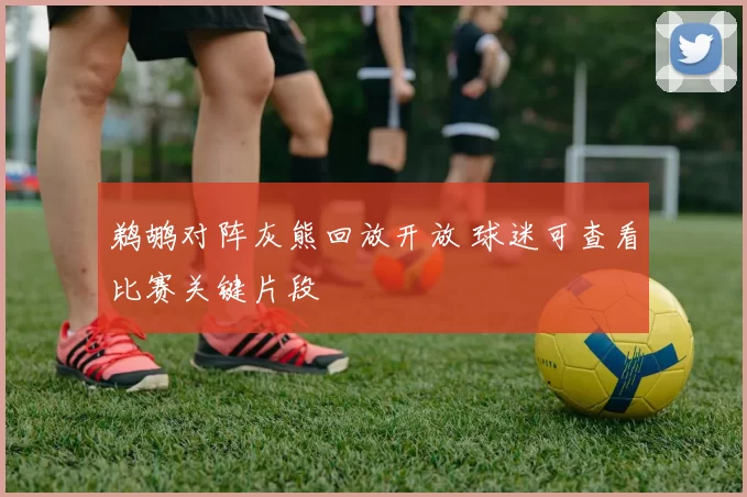 鹈鹕对阵灰熊回放开放 球迷可查看比赛关键片段