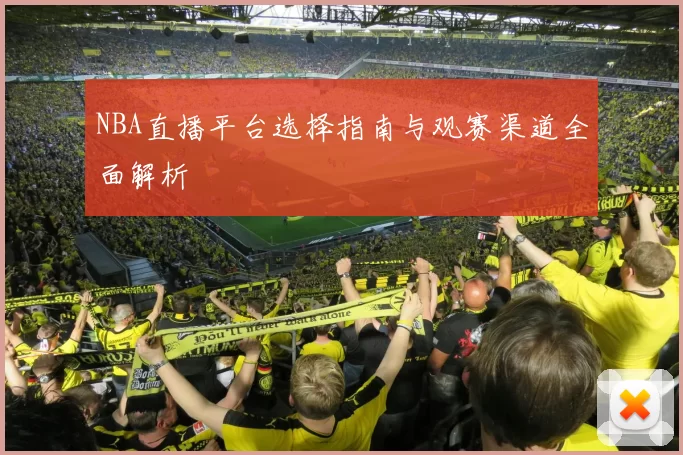 NBA直播平台选择指南与观赛渠道全面解析