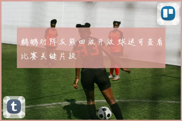 鹈鹕对阵灰熊回放开放 球迷可查看比赛关键片段